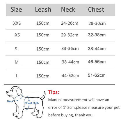 Pattes&Plumes™   Ensemble de laisse de harnais pour chien de petite taille, réglable, pour chiot, chat, gilet, bouledogue français, chihuahua, carlin, laisse de marche en plein air