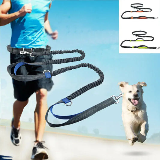 Pattes&Plumes™    Laisse réfléchissante corde de Traction pour chien de compagnie ceinture de course élastique mains librement Jogging tirer laisse de chien en métal d-ring laisses harnais